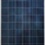 Módulo fotovoltaico policristalino :: ASTRONERGY VIOLIN CHSM6612P