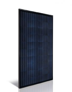 Módulo fotovoltaico policristalino ASTRONERGY ASM6610P(BL) (Made in Germany)