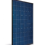 Módulo fotovoltaico policristalino :: ASTRONERGY ASM6610P (BF) (Made in Germany)