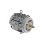 Motor eléctrico :: WEG W22 Smoke Extraction Motors - F400 (2 hours) - TEAO - IE3