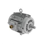 Motor eléctrico :: WEG W22 Smoke Extraction Motors - F300 (2 hours) - TEAO - IE3
