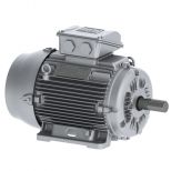 Motor eléctrico :: WEG W22 Smoke Extraction Motors - F300 (1 hour) - TEFC - IE3