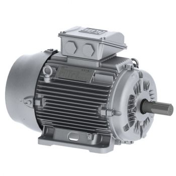 Motor eléctrico WEG W22 Smoke Extraction Motors - F300 (1 hour) - TEFC - IE3