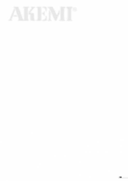 AKEMI. Catálogo Automóvil 57