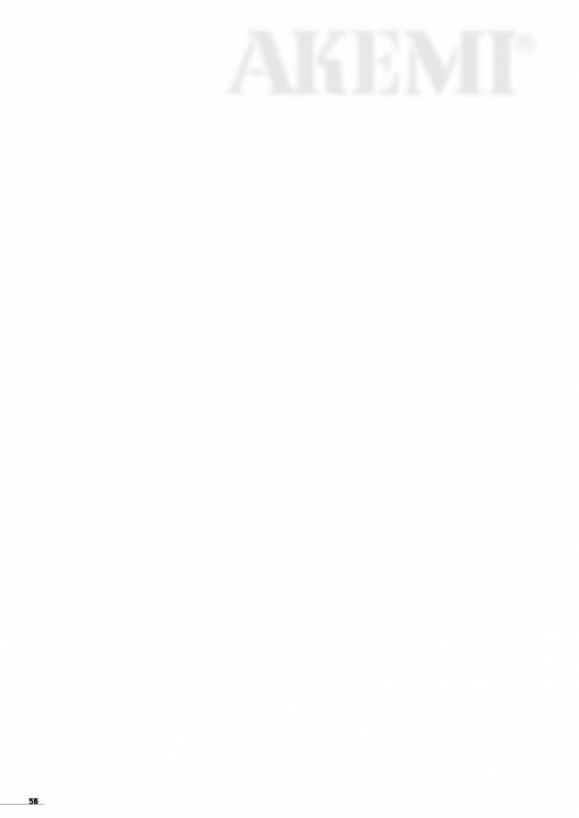 AKEMI. Catálogo Automóvil 58