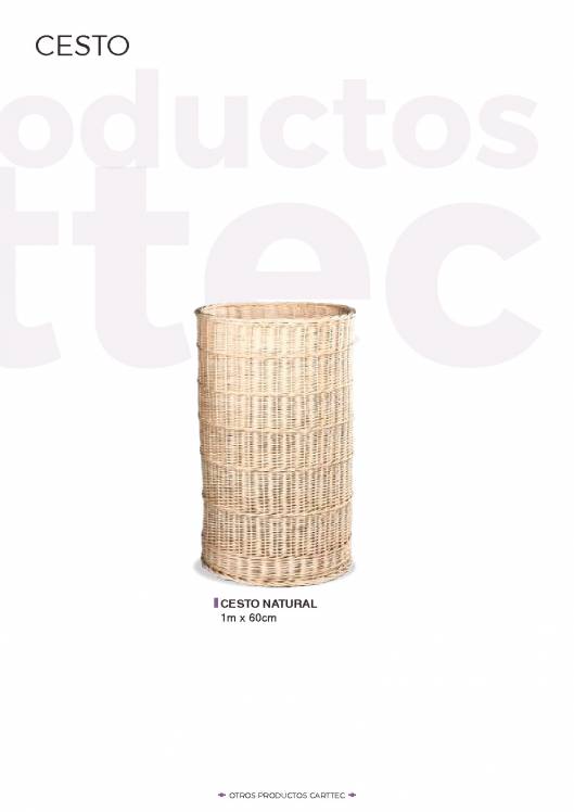 CARTTEC Retail Catálogo Español 55