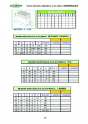 GAMOR. Soluciones de amarre 29