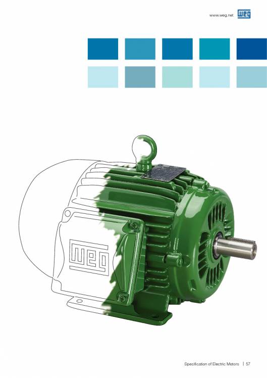 WEG. Specification of electric motors. 57